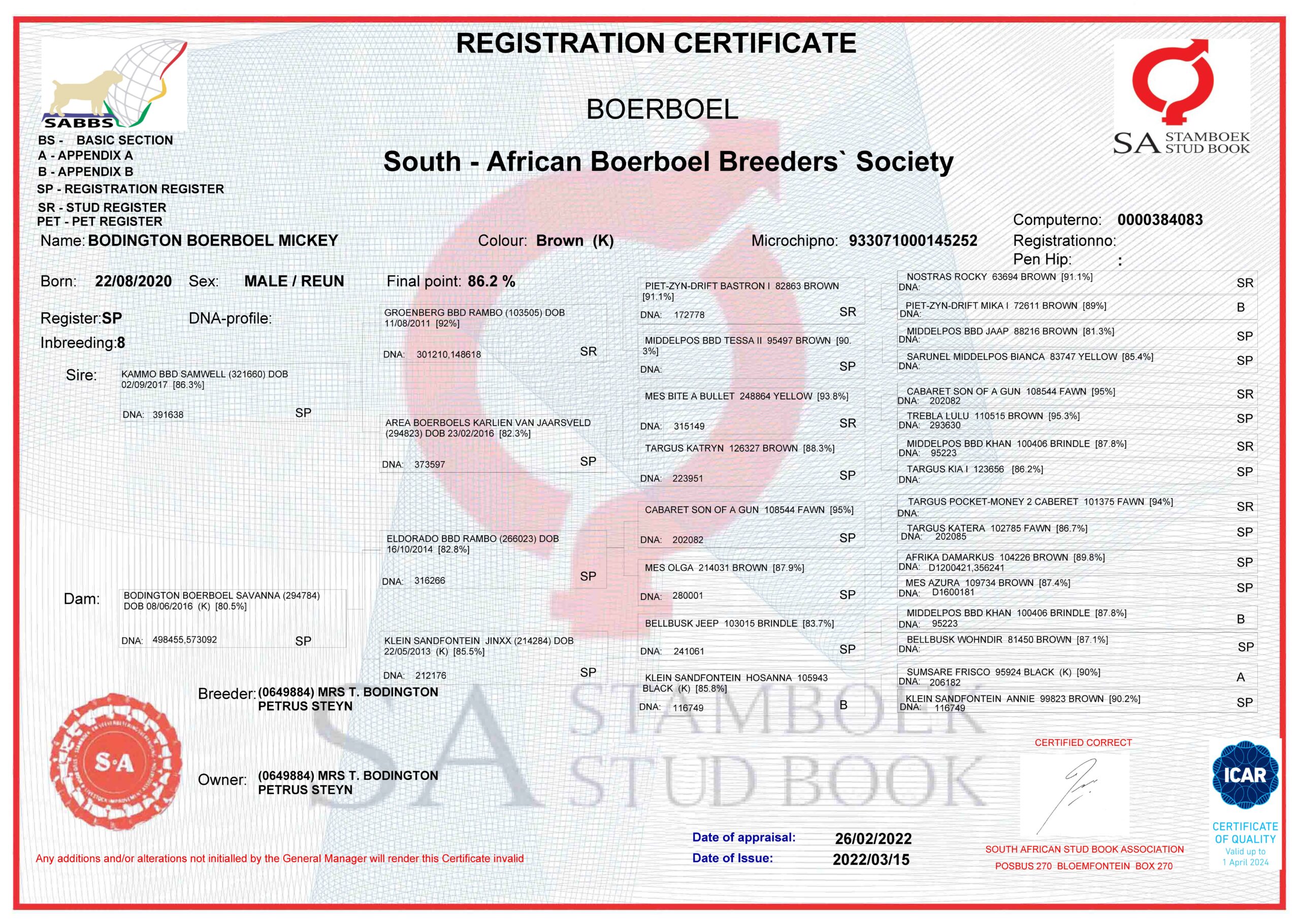 BODINGTON BOERBOEL MICKEY_Page_1